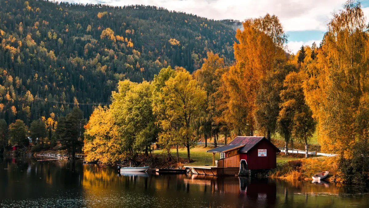 Sonbaharın en güzel rotaları! Yürüyüş yapmak isteyenler buraya koşacak: İşte mutlaka görülmesi gereken yürüyüş rotaları…