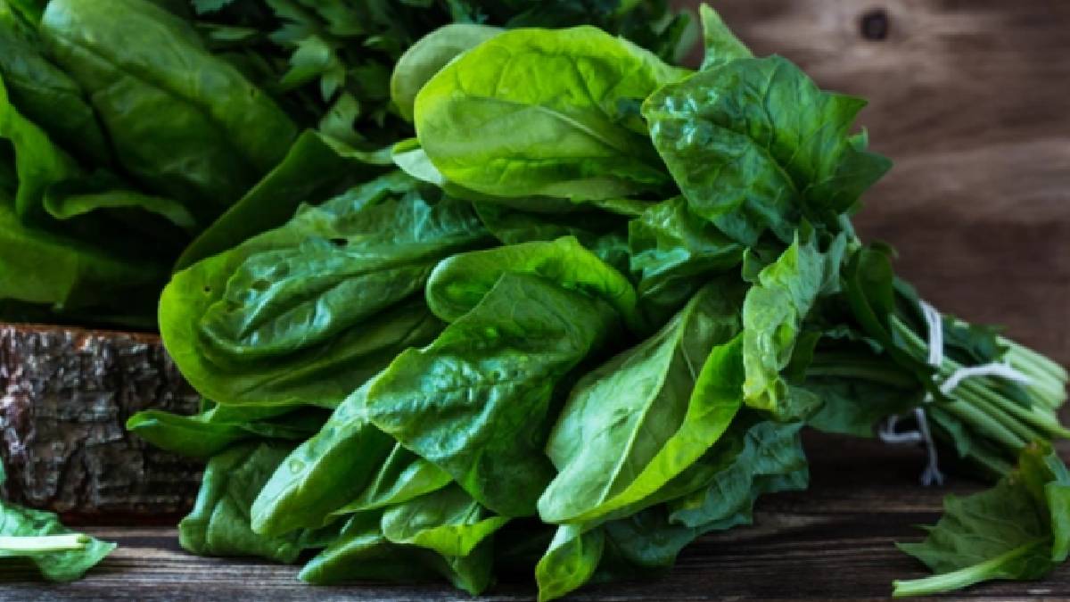 Ispanak zannettikleri bitki zehirledi: 11 kişi hastanelik oldu, birinin durumu ağır