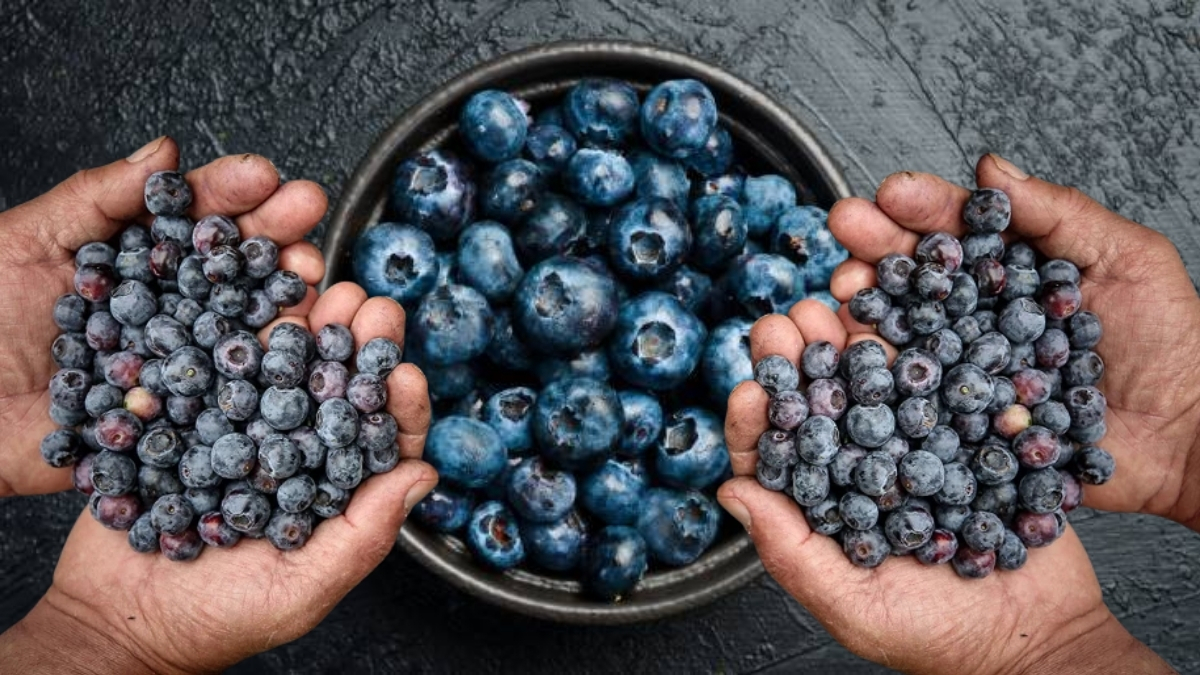 Hem bağışıklık hem sindirim dostu! Tadı da faydası da dillere destan: Düzenli tüketimde kanseri önlüyor