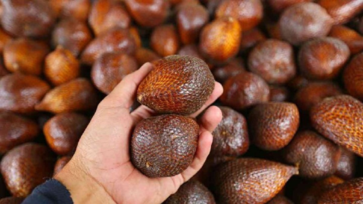 Salak Meyvesi deniyor, içinde alkol bulunduruyor! Salkım salkım oluyor maymunlar bile ona bayılıyor