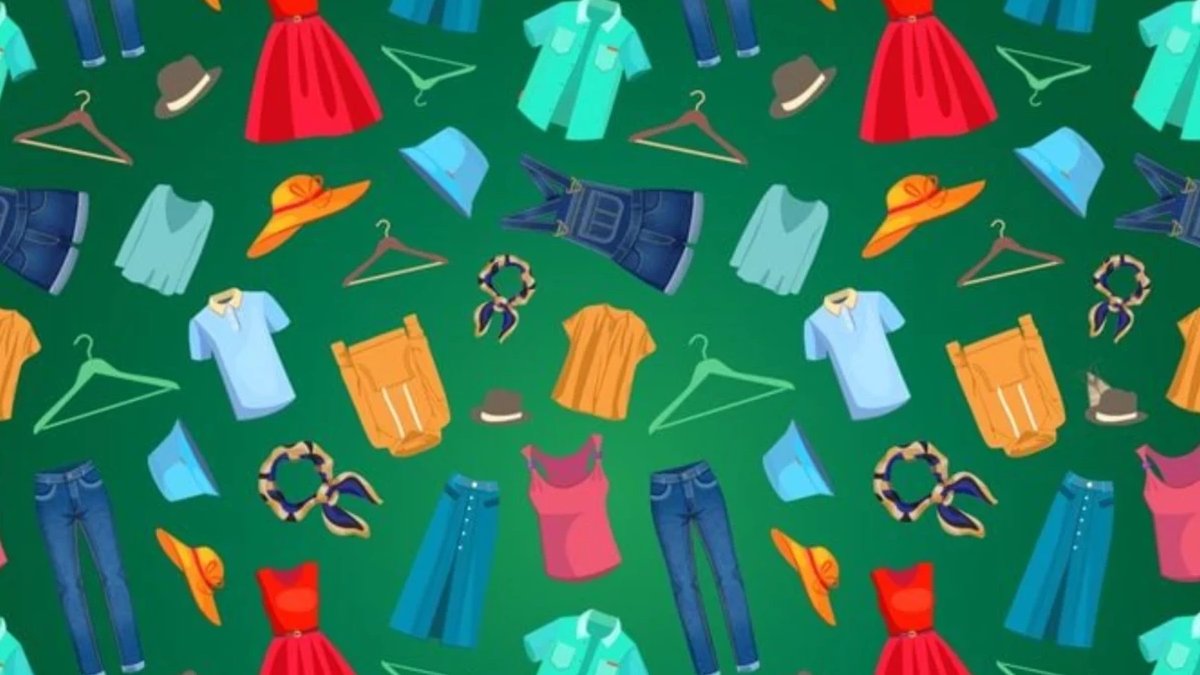 Kafalar alt üst olacak! Resimde saklanan güveyi 5 saniyede bulan Einstein’a kafa tutar