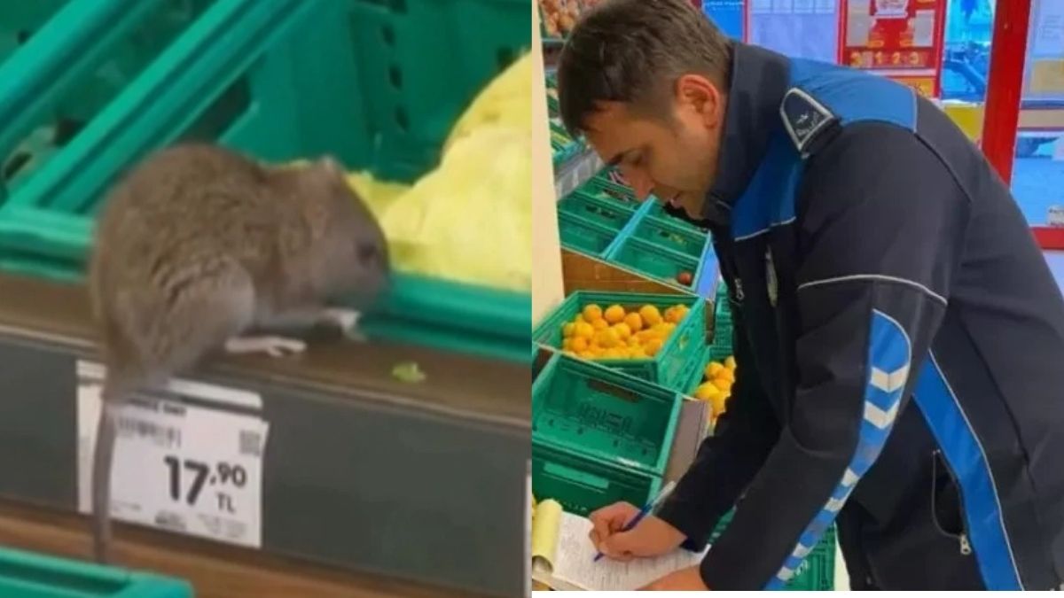 Üç harfli market zincirinde skandal görüntü! Manav reyonunun ortasında kocaman fare: Zabıta ekiplerini cezası gecikmedi