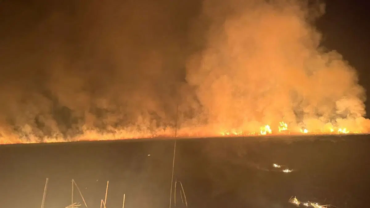 Hakkari 'kuş cenneti'nde korkutan yangın