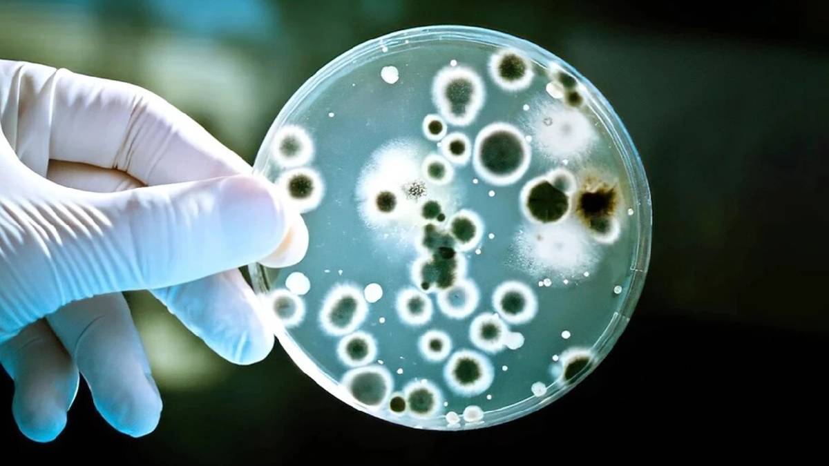 Dirençli bakterilere karşı yeni keşif: 100 kat etkili antibiyotik geliştirildi