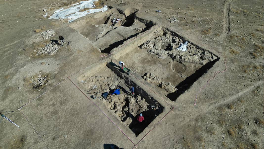 Van'da 5 bin yıllık arpa taneleri bulundu