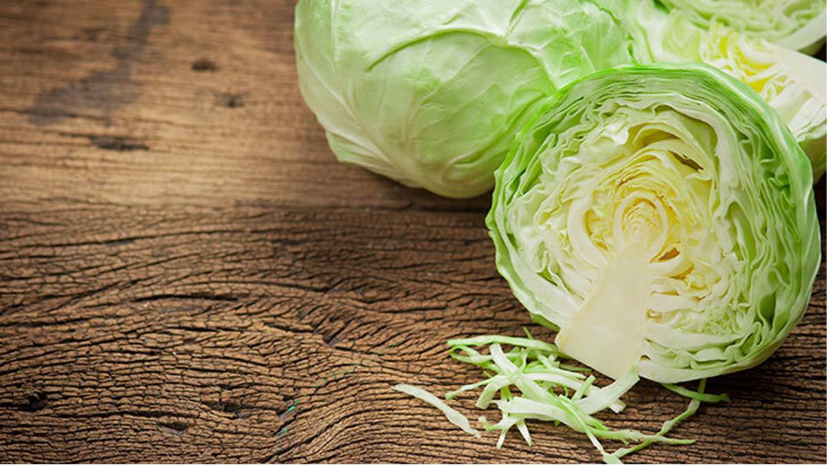 Hücreleri onarıyor, hastalıklara kalkan oluyor: Lahananın bilimsel olarak kanıtlanmış faydaları