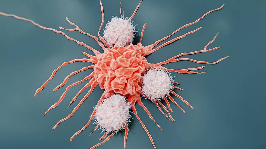 Çığır açan keşif: Zararsız sanılan tür kanser yapıyor