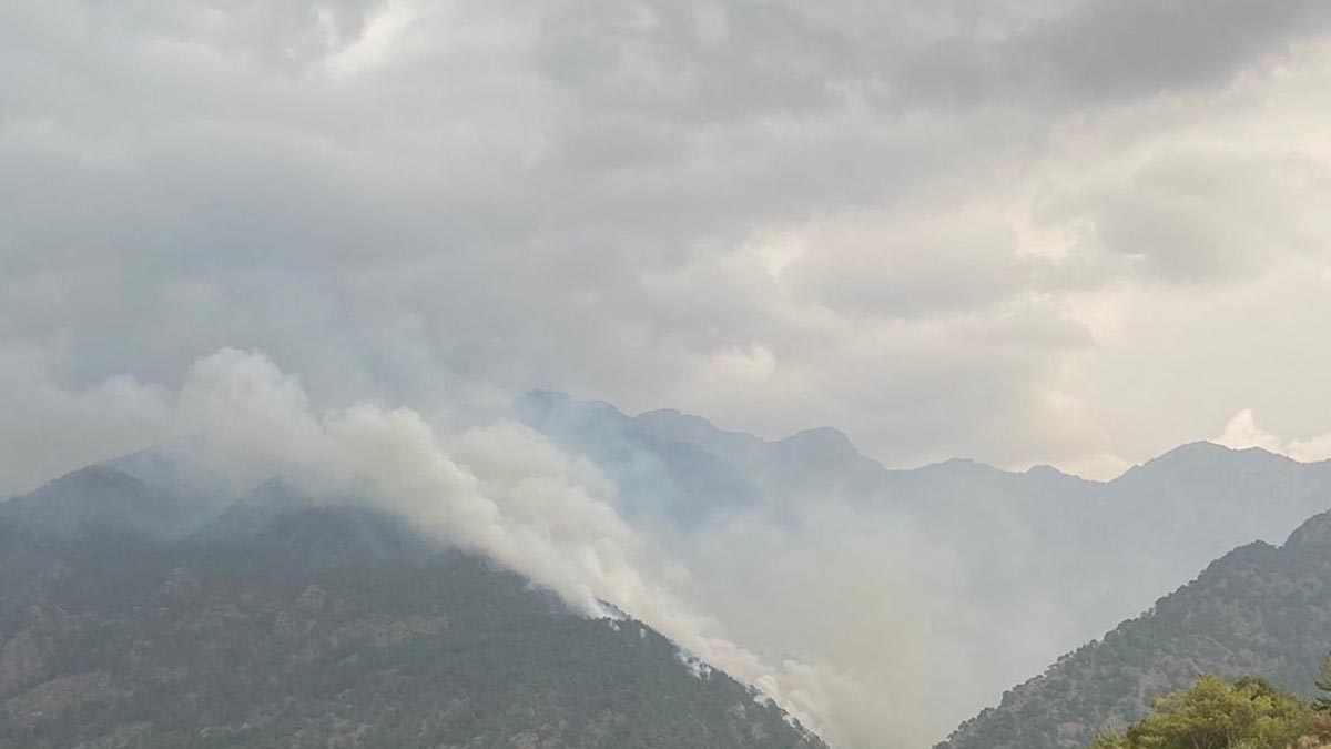 Hatay'da 2 farklı noktada orman yangını