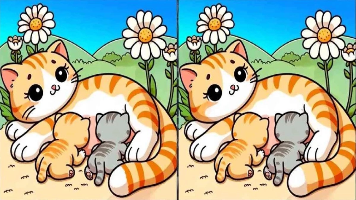 Keskin göz testi: Yüksek IQ sınırı 14 saniye! Resimdeki 3 farkı bulabilecek misiniz?