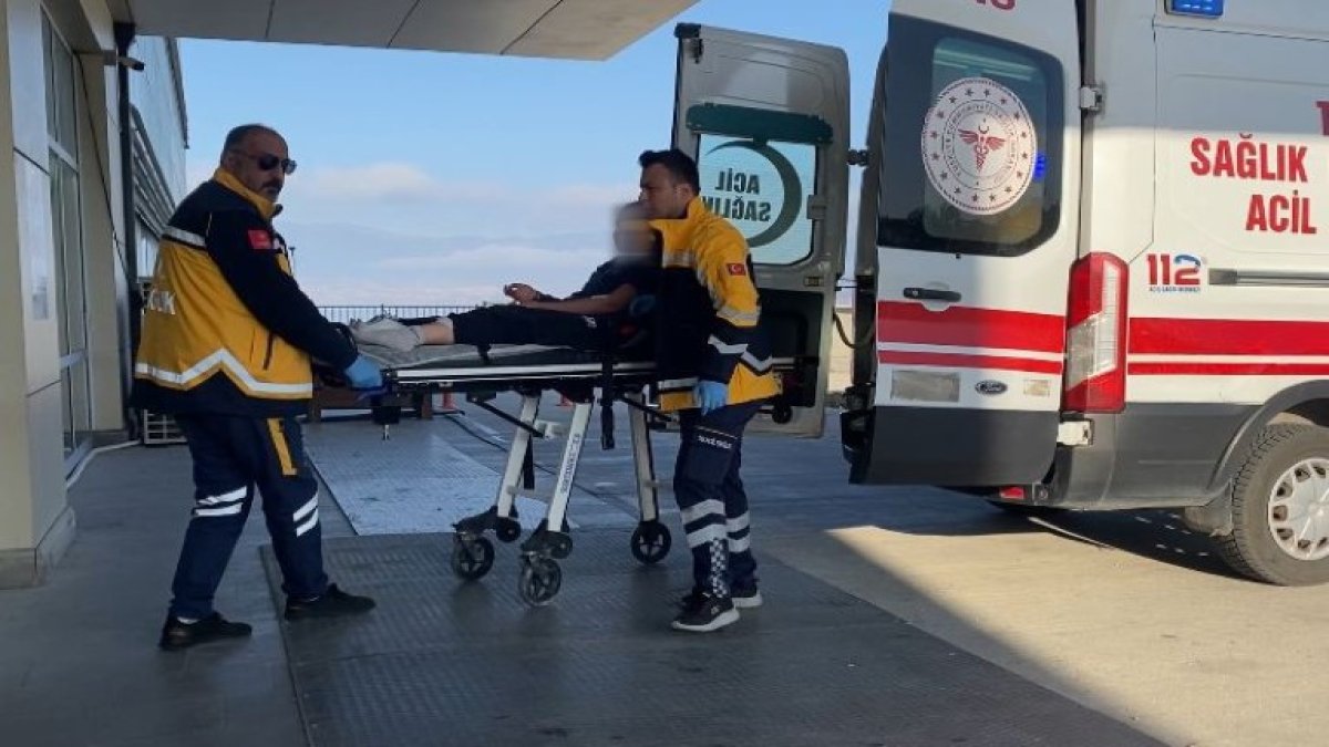 Önce bir tane geldi, sonra diğerleri toplandı! Yürüyüş yapan 13 yaşındaki kız, köpek saldırısına uğradı