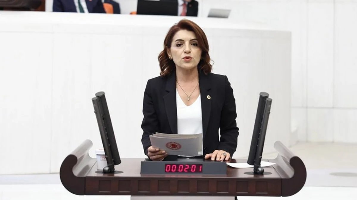 CHP’li Gülcan Kış: Vatandaş borç içinde yaşarken sarayın ışıkları sönmüyor