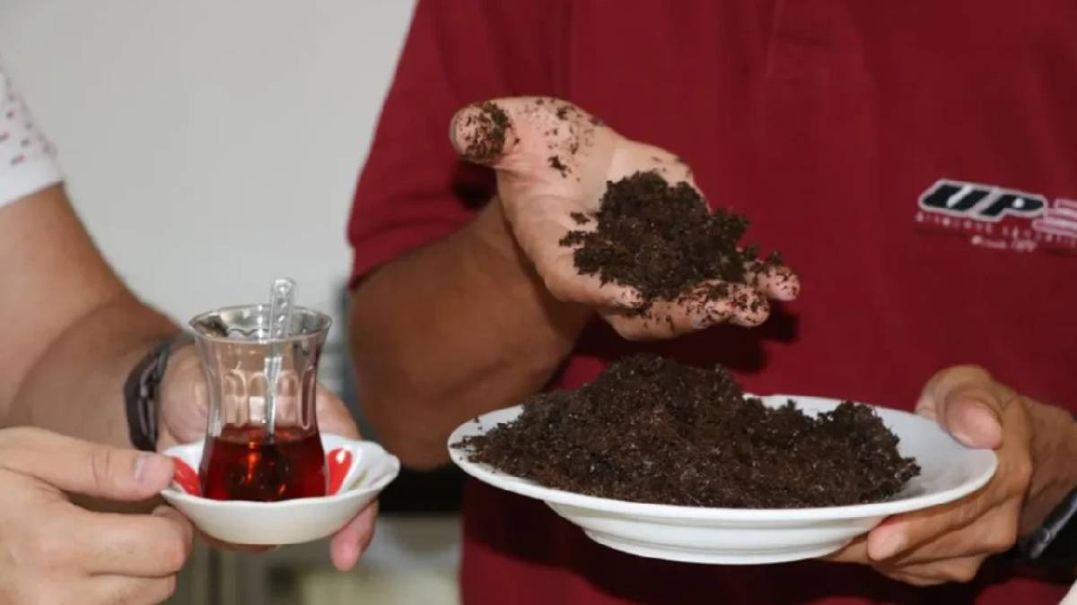 Çay posası atan pişman olacak! Şimdiye kadar nasıl fark etmemişiz: İşte çay posasının kullanıldığı yerler…