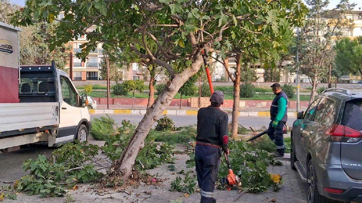 Efeler’in yeşil ekipleri budama çalışmalarına devam ediyor
