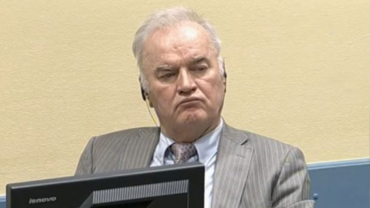 Bosna kasabının serbest bırakılma talebi reddedildi