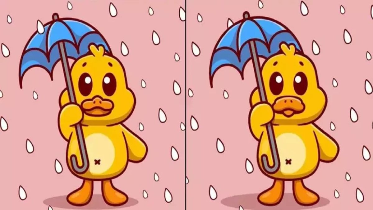 Görsel zeka sınırı 14 saniye: Yağmur altındaki ördekteki 3 gizli farkı bulun!
