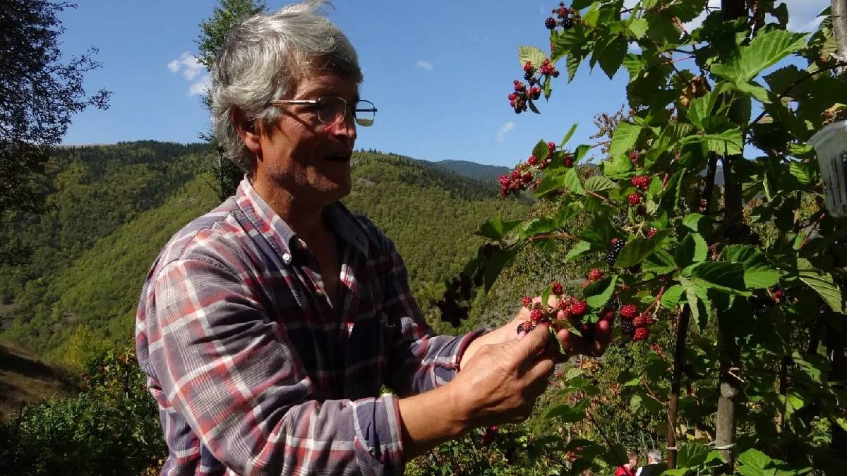 Tamamen organik üretiyor, 10 yıldır köyüne katkı sağlıyor! Denemek için ekti hem şifası hem verimi şaşırttı