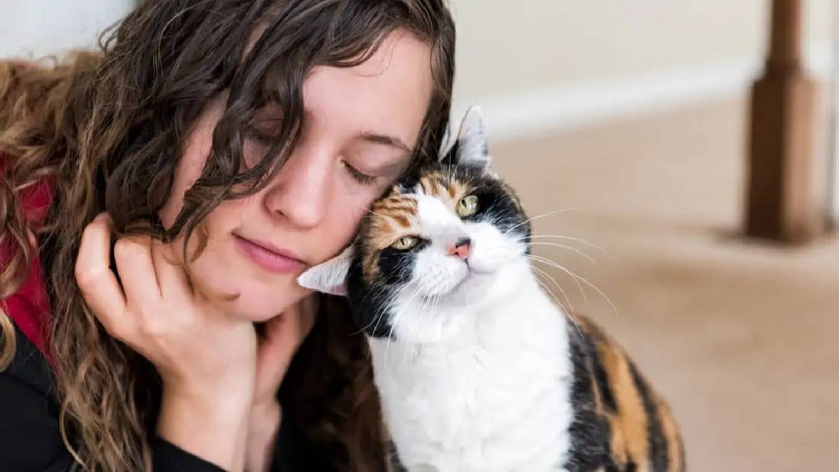 Kedinizin sizi ne kadar sevdiğini test etmek ister misiniz? ‘Evet’ cevabınız 1 mi 9 mu? Bu davranışlar sevgisinin göstergesi