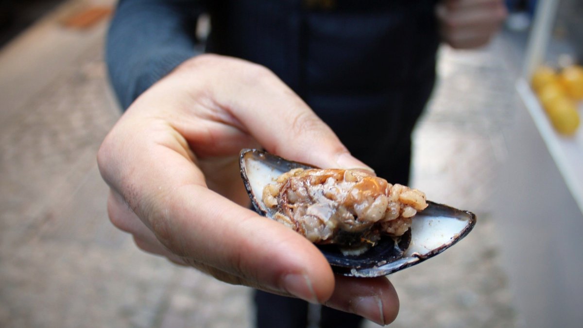 Midye zehirlenmesi belirtileri nelerdir, bozuk midye nasıl anlaşılır?