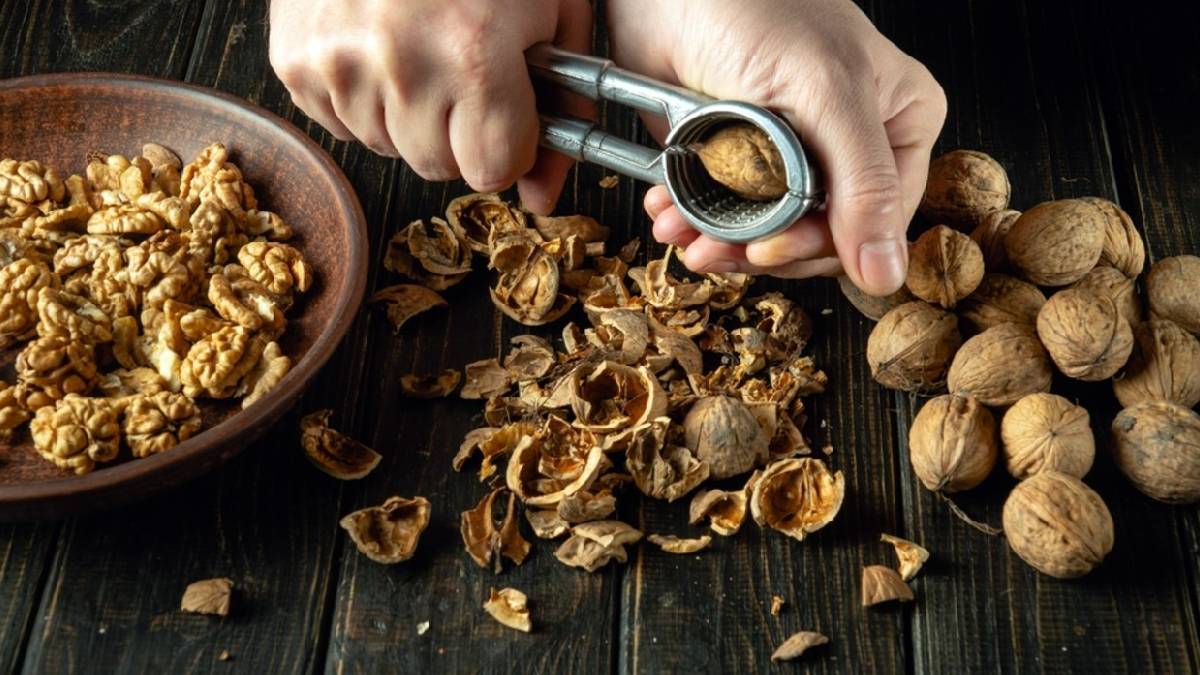 Cevizi kırın ama kabuklarını atmayın! Nedenini öğrenince hak vereceksiniz: Meğer evde büyük kurtarıcıymış