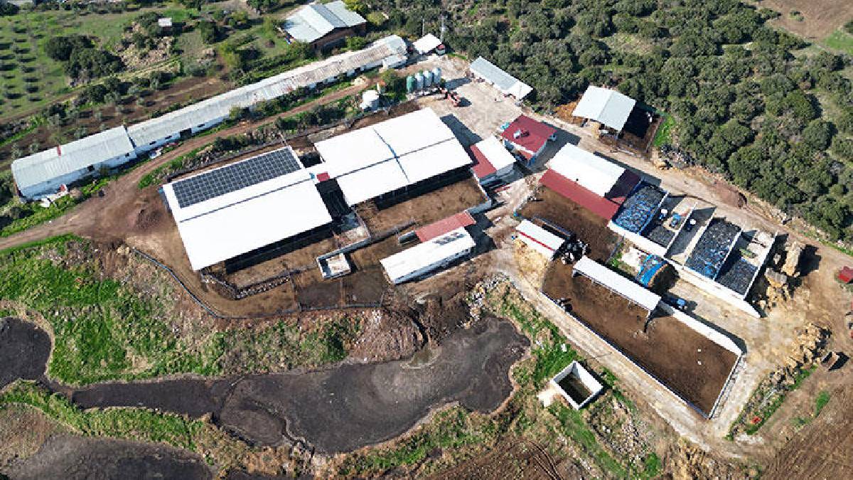 3 ayrı hibe aldı küçük işletmeyi modern tesise dönüştürdü: Şimdi 160 inekten günde 4 ton üretime ulaştı!