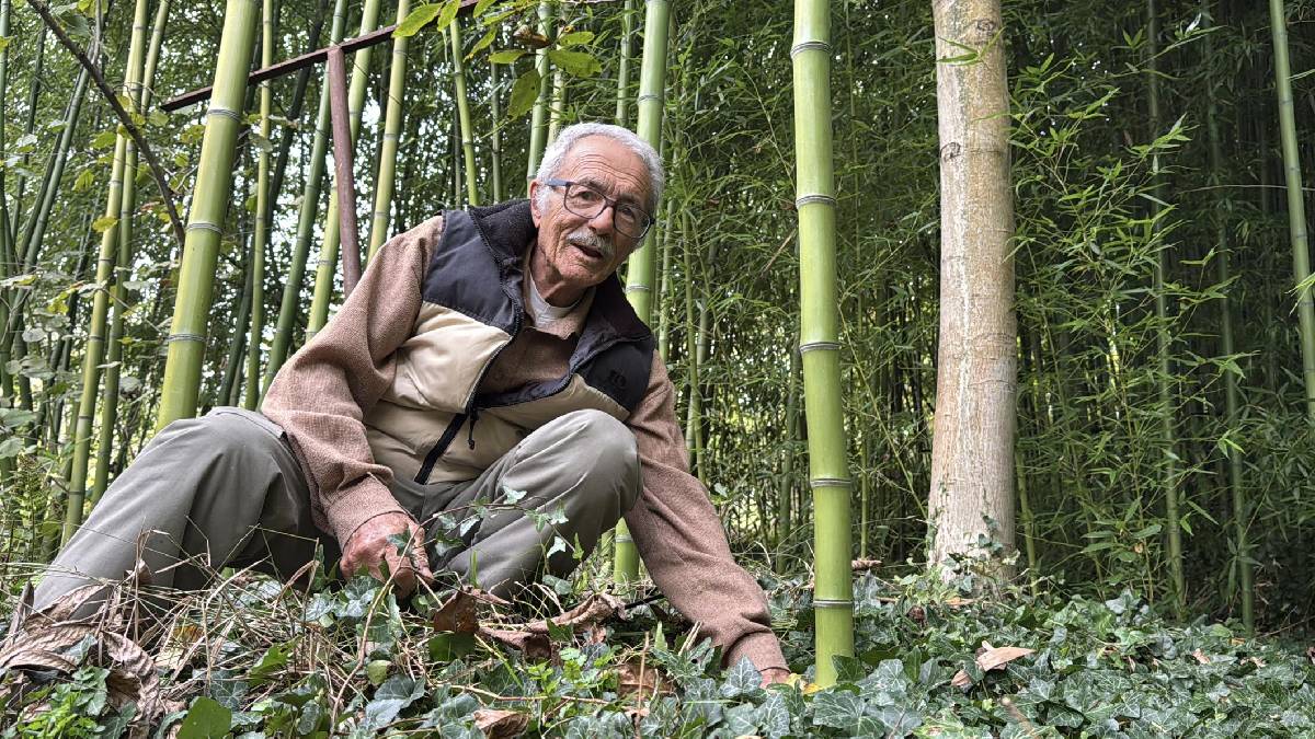 5 kökle başladı 10 yılda üretim arttı! Yanına ekilen hiçbir şey yetişmiyor: Kazancı 500.000 TL’yi geçiyor