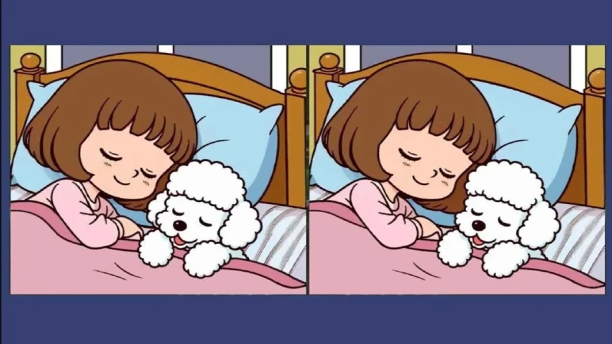 IQ testi: Yüksek zekalıların bile zorlandığı 17 saniyelik görsel bulmaca