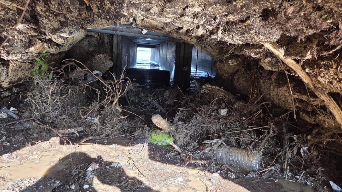 Foça’da rekor yağış sonrası dere temizliği ve alt yapı çalışmaları hız kazandı