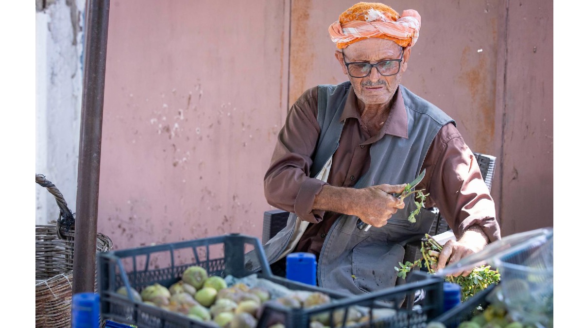 Beydağ incirinin katma değeri artıyor