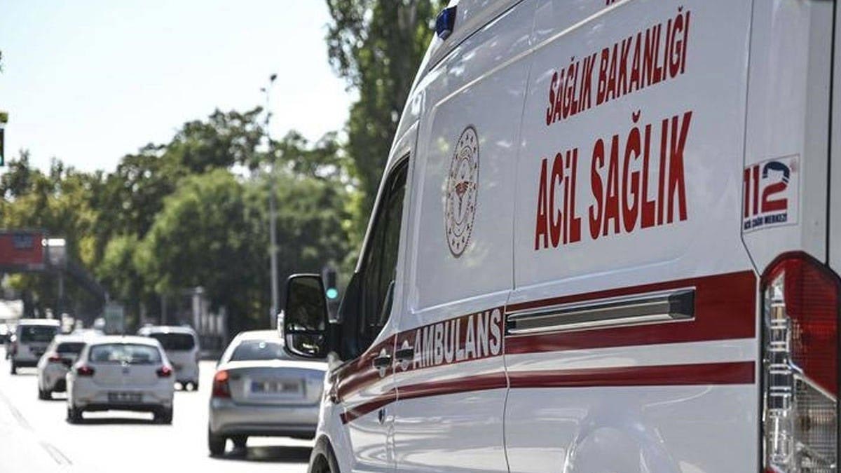 İzmir'de bir kadın evinde çıkan yangında 30 kedisiyle beraber hayatını kaybetti