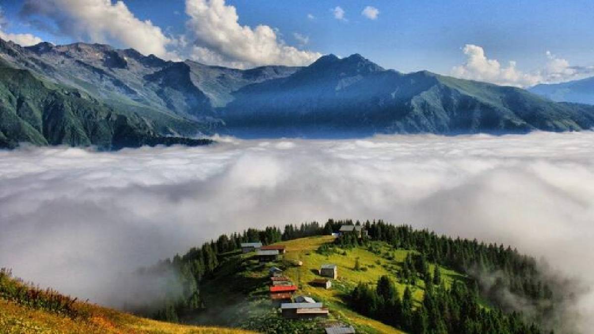 Doğanın doğal şöleni! Güzelliği göz kamaştırıyor, renkler tabloyu andırıyor