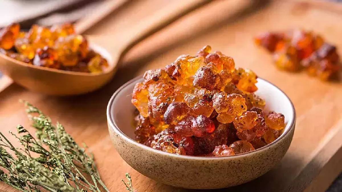 Dünyanın en doğal jelibonu! Ağaçlardan toplanıyor, yaşınızı silip atıyor