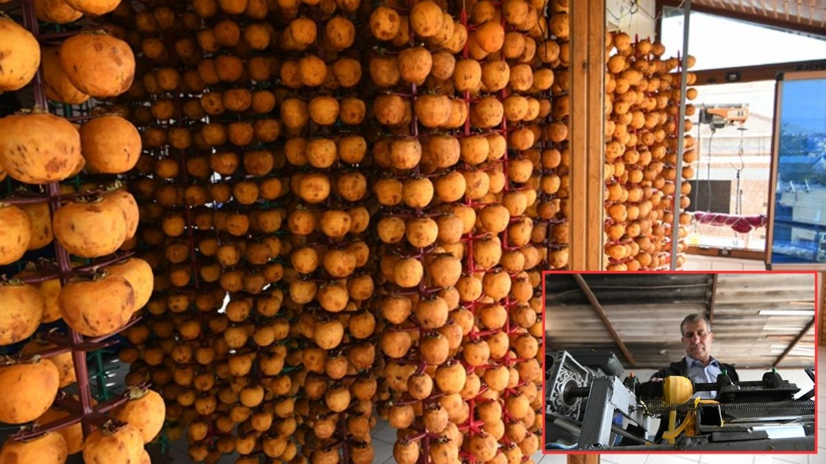 Kendi tasarladığı aletle kurutuyor, kazancını katlıyor! Saate 100 kg ürün alıyor: Kilosunu 500 TL’den satıyor