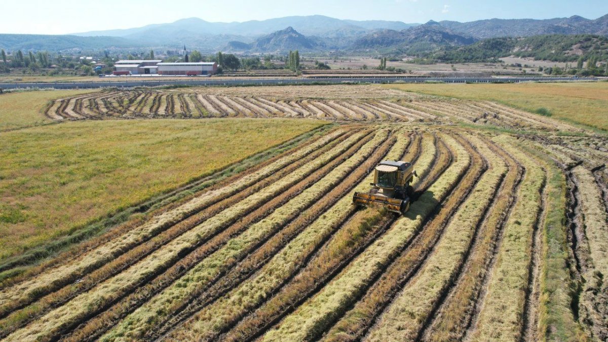 FAO'dan Türkiye'ye 8,1 milyon dolarlık kaynak: Tarımda ezberler bozulacak