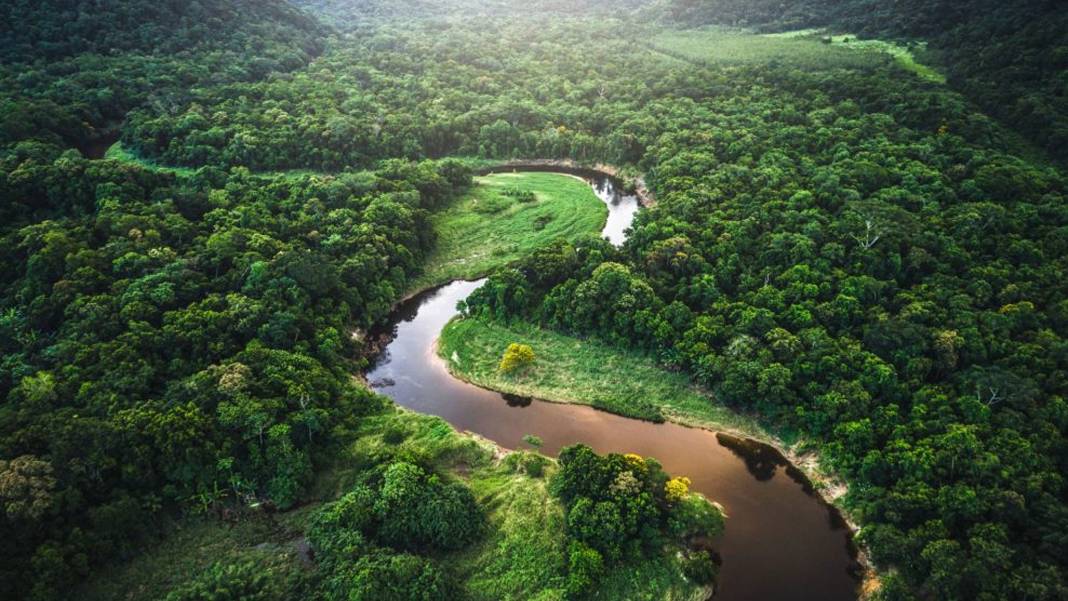 Amazon'a büyük tehdit: Soya yasağı kaldırılıyor mu?