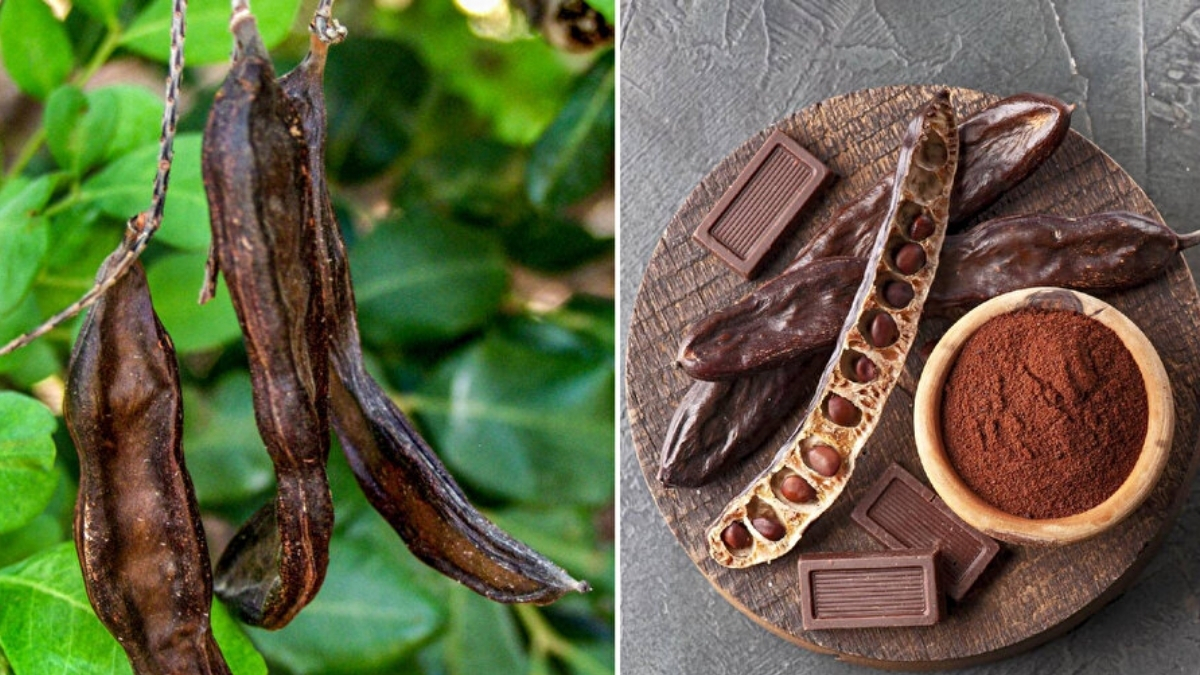 Astım ve bronşitin doğal tedavisi! Düzenli tüketimde solunumu güçlendiriyor, sindirimi düzenliyor