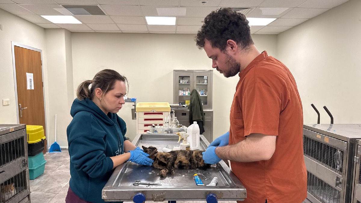 İzmirli hayvansever Çörekçi’nin emanetlerine İzmir Büyükşehir Belediyesi sahip çıktı