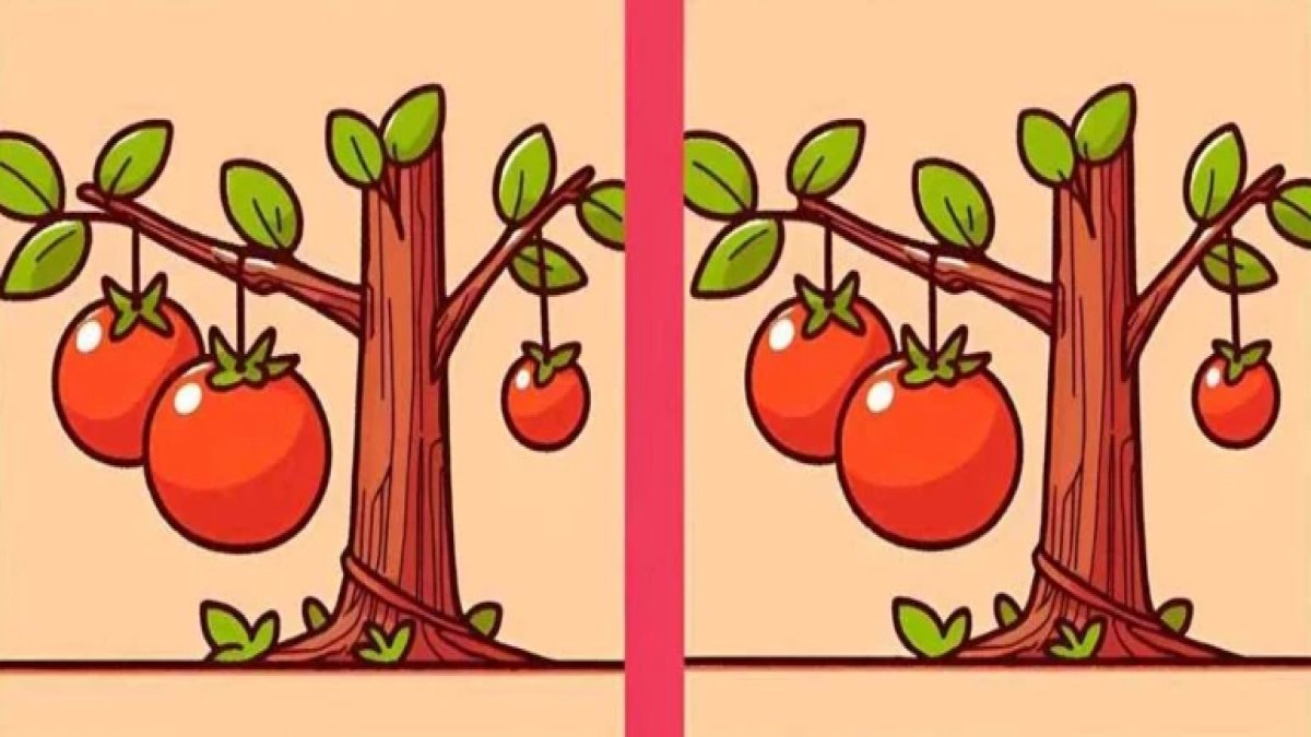 Görsel algı sınavı: 14 saniyede 3 farkı bul, IQ seviyeni kanıtla