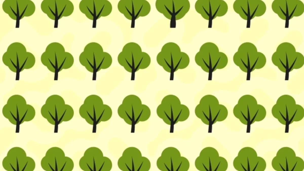 Resimdeki farklı ağacı görmek için keskin gözlere ihtiyaç var! 6 saniyede fark eden kendini kanıtlar