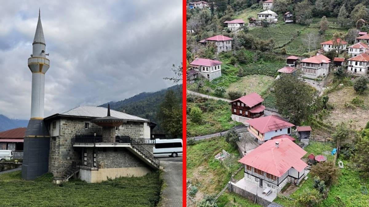 Hepsi kestane ağacından yapılıyor, turistlerin dikkatini çekiyor! Tescilli evler Arılı köyünde ilgi görüyor