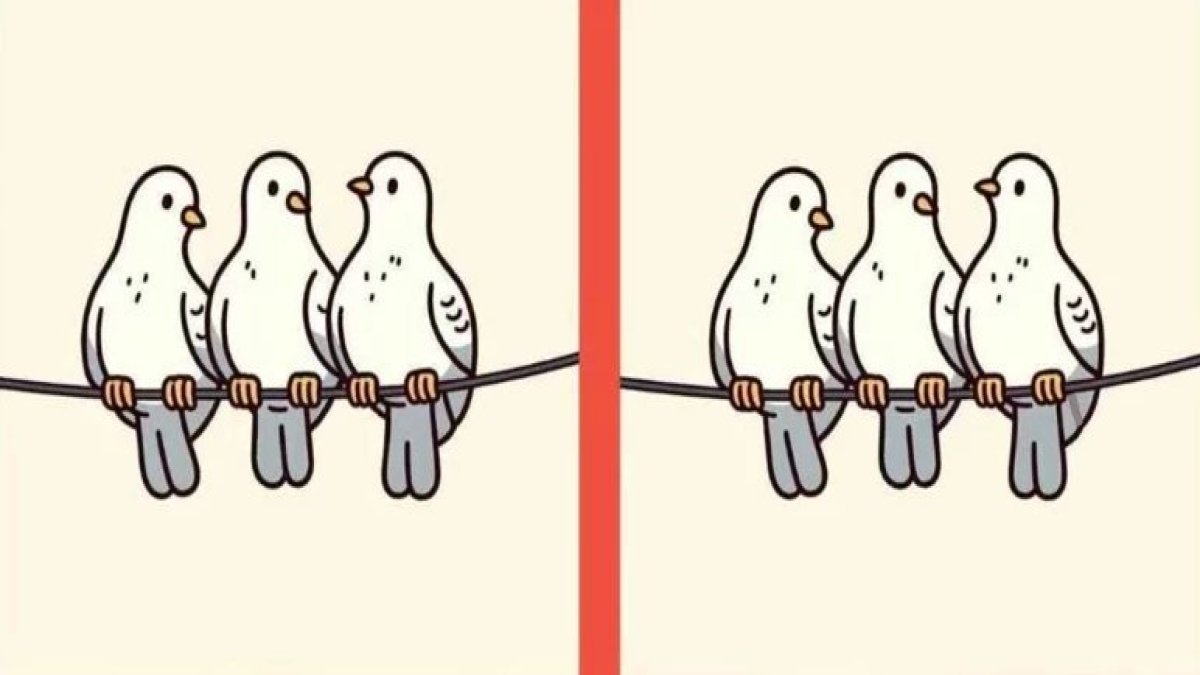 Görsel zekanız ne kadar güçlü? Yüksek IQ'luları bile zorlayan 14 saniyelik güvercin testi