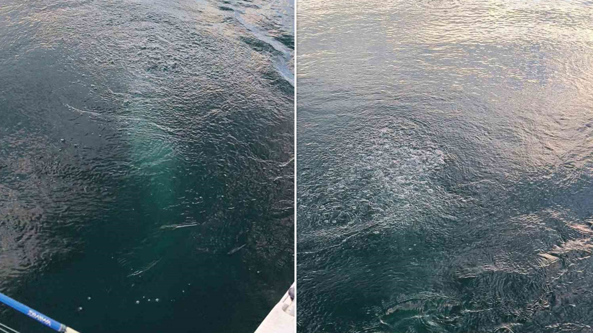 Sapanca Gölü'nde oluşan kabarcıklar görüntülendi