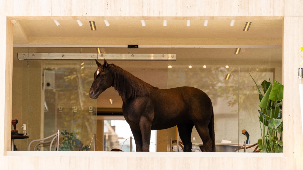 Espressolab, Animax Designs iş birliğiyle animatronik “Kahve” heykelini İstanbul’a getirdi