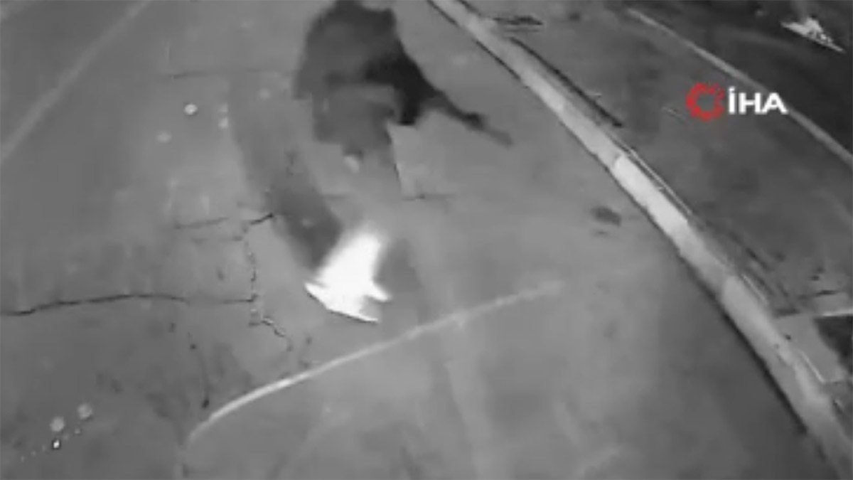 Şanlıurfa’da alacak kavgası silahlı çatışmaya döndü: 2 ağır yaralı