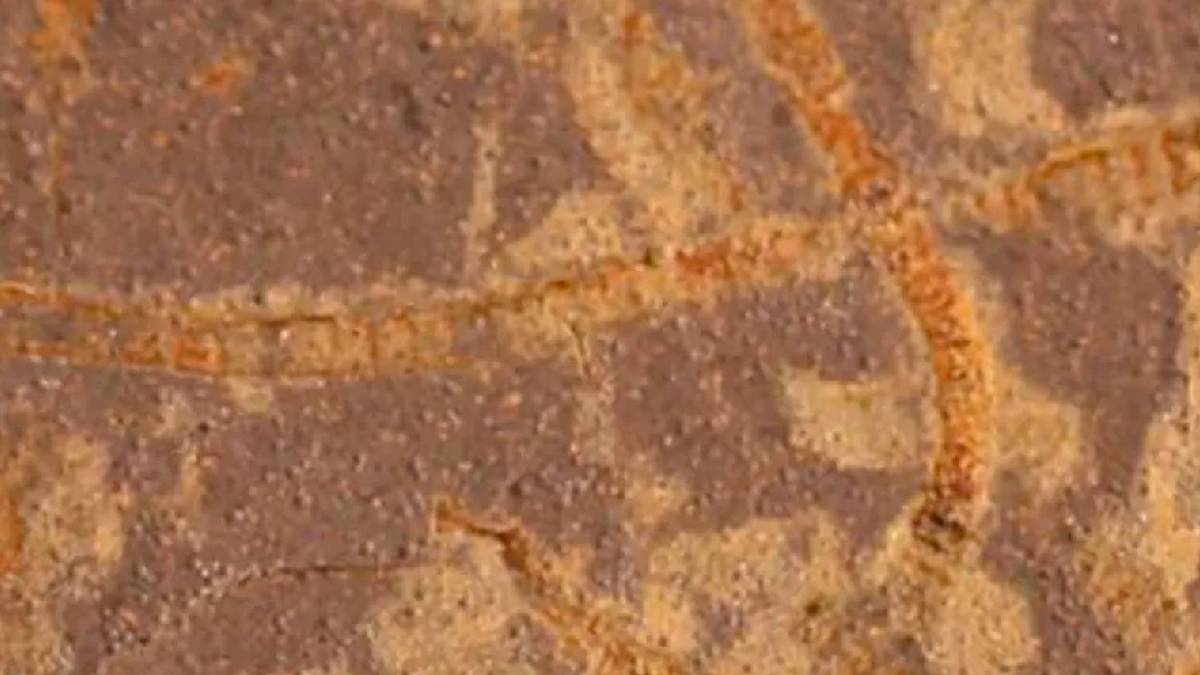 3,3 milyar yıllık yaşam izlerini ortaya çıkardı