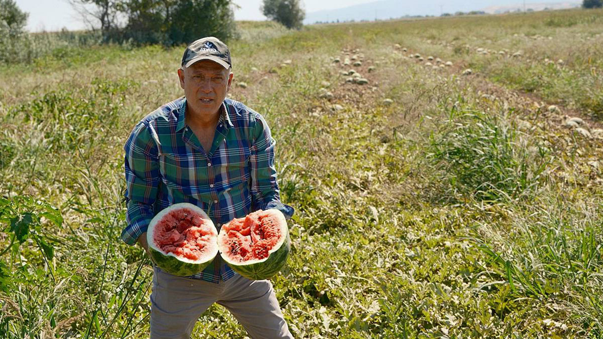 Bu plansızlıkla Türk tarımı kâr eder mi sanıyorsunuz! Gurbetçinin gözünden tarımın acı özeti
