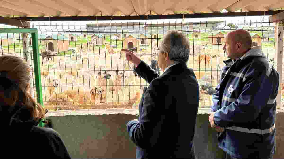 Bandırma Belediyesinden örnek proje: Başkan Mirza çalışmaları inceledi