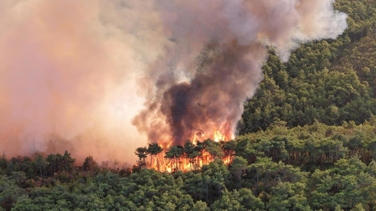 İran günlerdir yanıyor: Hükümetten dünyaya acil yardım çağrısı