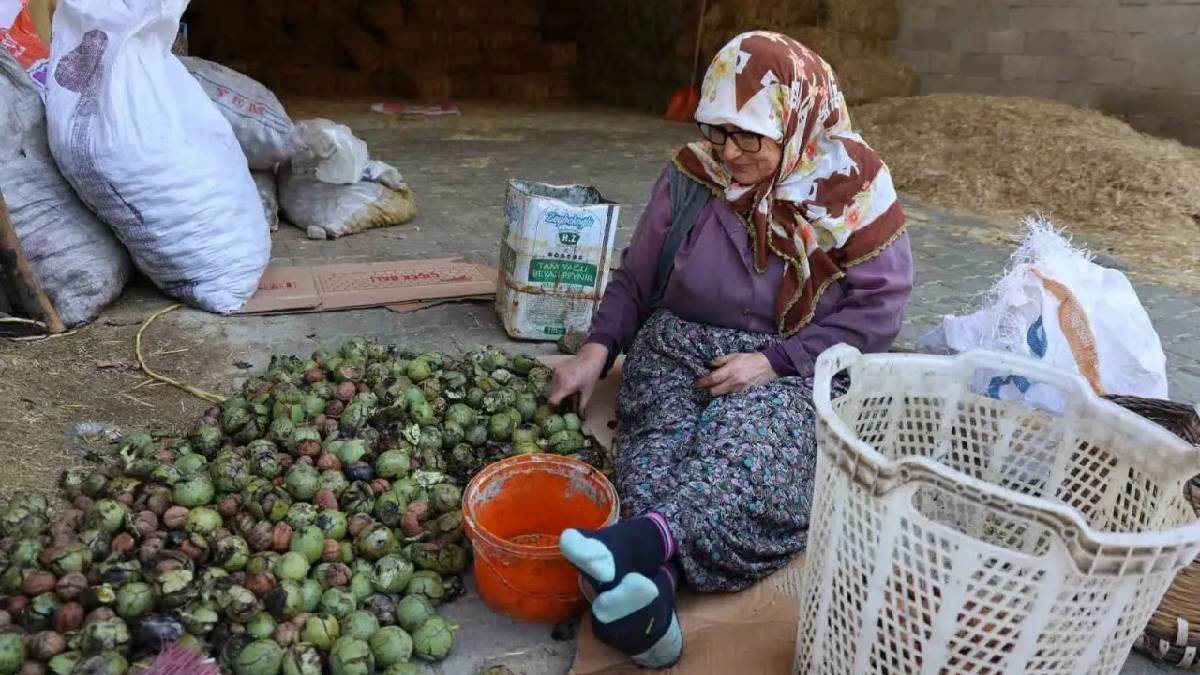 Doktoru önerdi, şeker hastalığını yendi! 74’lük Dursun nine gençlere taş çıkarıyor