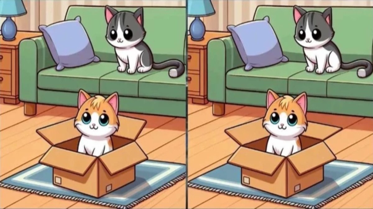 Yüksek IQ testi: 25 saniyede 3 farkı bulun, beyninizi harekete geçirin