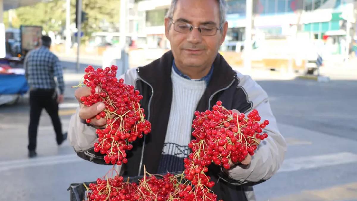 Halk “gençlik iksiri” diyor, pazarda yok satıyor! Meyve suyu, reçel, sirke, salamura… Her türlü tüketiliyor